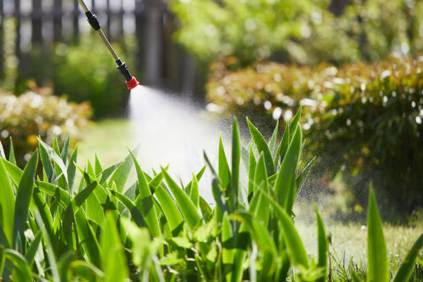 24/7 Emergency Fumigation Services experts in Grandview, WA