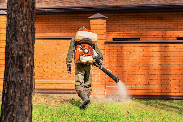 Trusted Cockroach Control service in Grandview, WA - Nex Pest Control